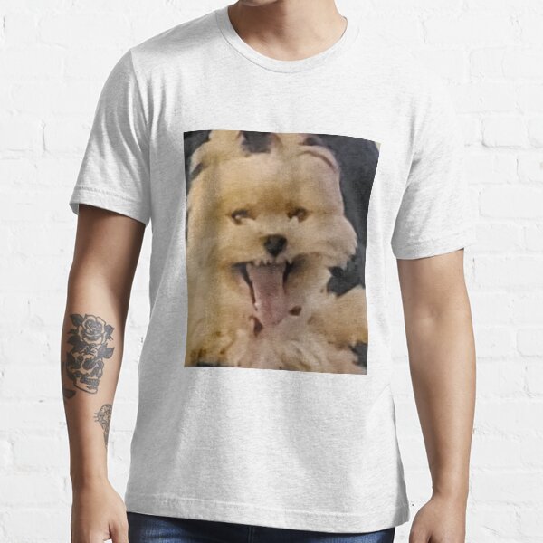 Abby jimenez merch