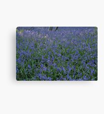 Have You Ever Seen The Blues Canvas Print