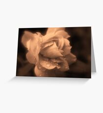 Monochrone Rose Greeting Card