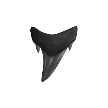 Artwork thumbnail, Otodus Shark Tooth by Reeseworks