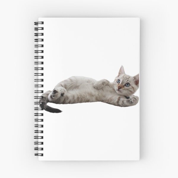 Item preview, Cute Funny cat ,My poucy cat designed and sold by Shirtbrands.