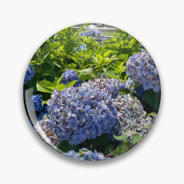 Item preview, Harbor Front Hydrangeas in Watch Hill designed and sold by offdutyplaces.