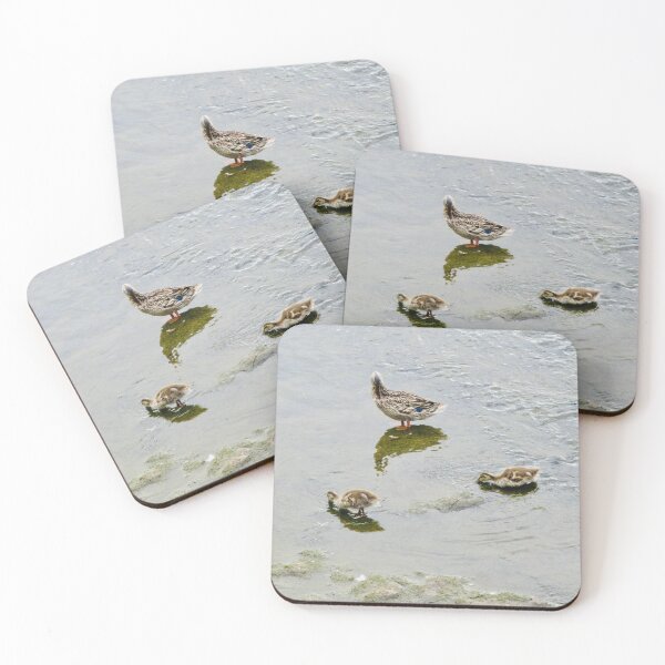 Item preview, Duck and ducklings designed and sold by Shulie1.