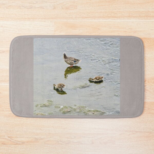 Item preview, Duck and ducklings designed and sold by Shulie1.