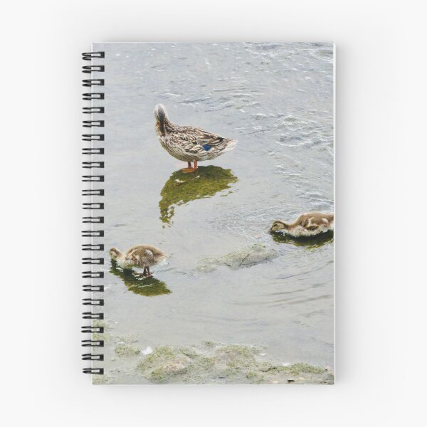 Item preview, Duck and ducklings designed and sold by Shulie1.