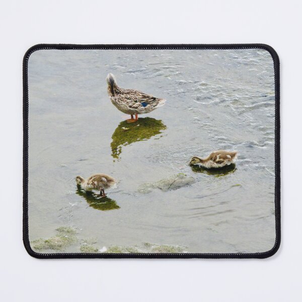 Item preview, Duck and ducklings designed and sold by Shulie1.