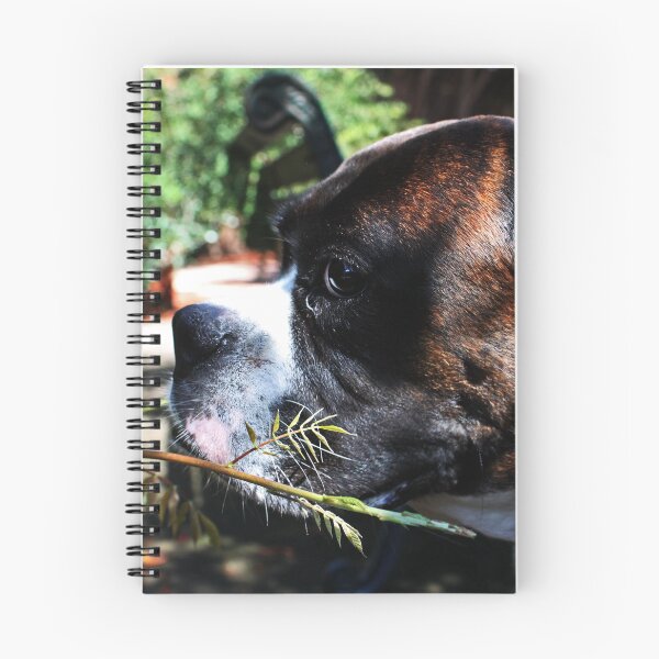 Item preview, If I Hide Here... Perhaps She Won't See Me... -Boxer Dogs Series- designed and sold by Evita.