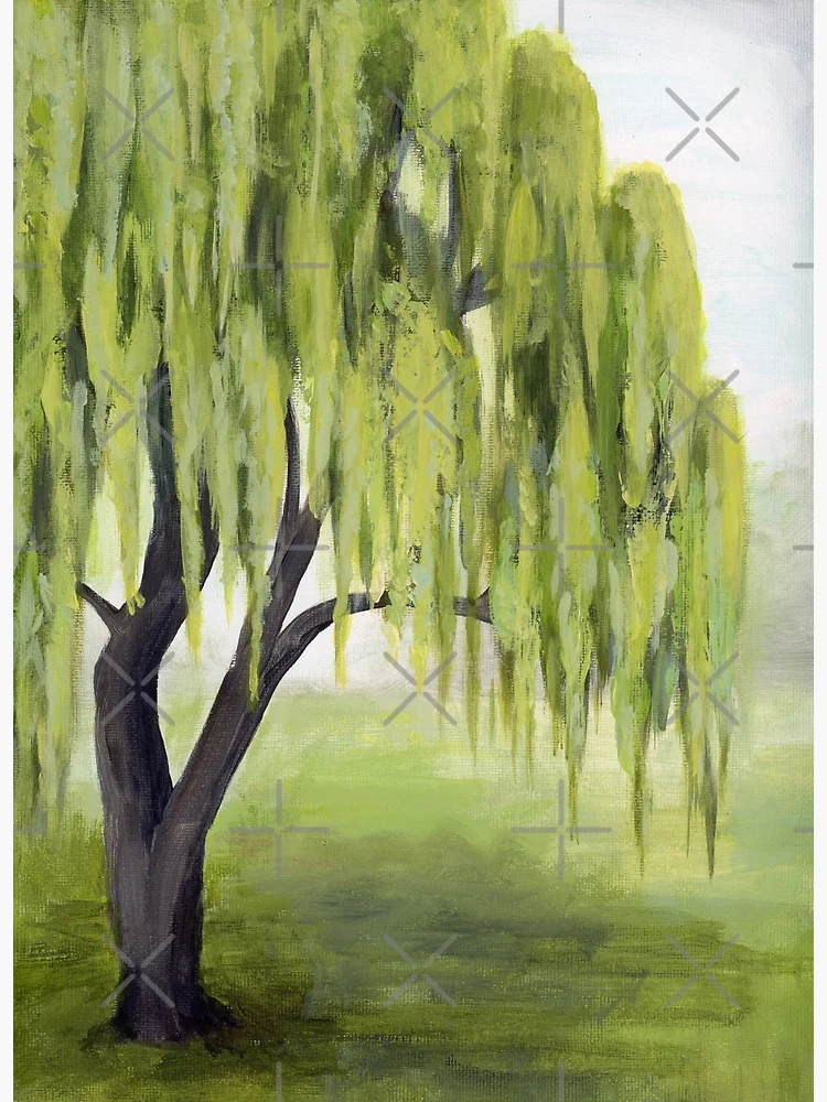 Weeping Willow Tree Oil on Canvas by Beautiscapes on DeviantArt