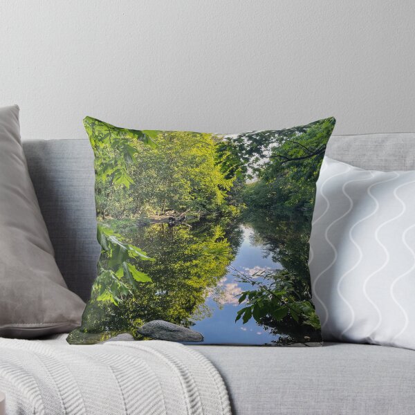 Item preview, Hidden Reflecting Creek in Northampton, Massachusetts designed and sold by offdutyplaces.