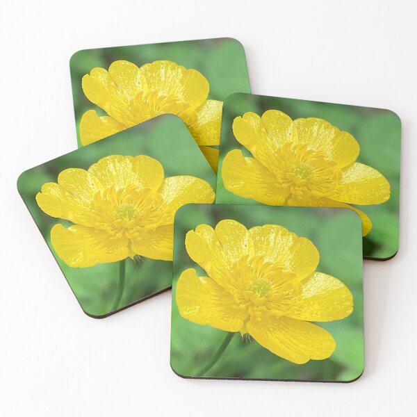 Item preview, What’s Up Buttercup? designed and sold by Chriscolibaba.
