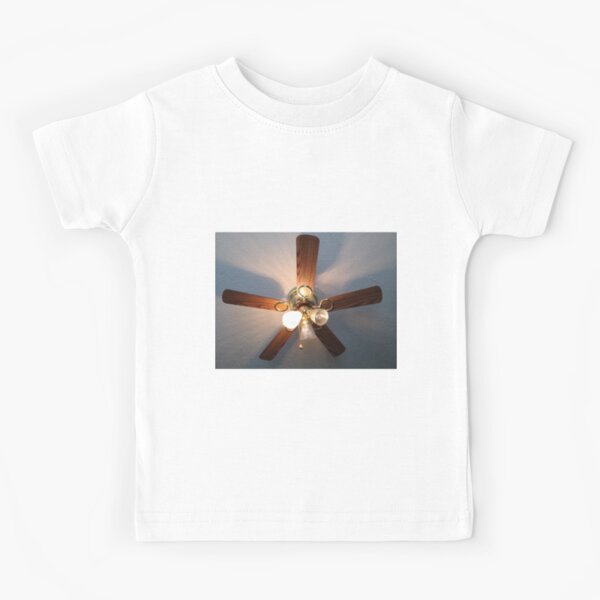 Item preview, literally just a picture of my ceiling fan designed and sold by Michael Stewart.