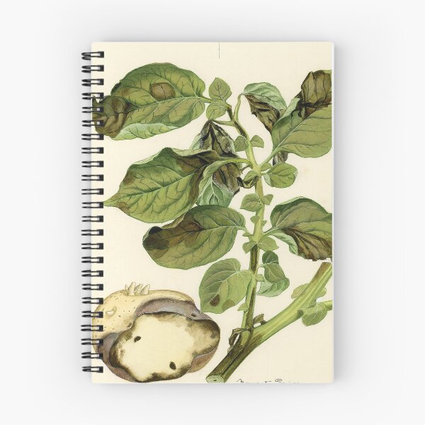 Item preview, Late Blight of Potato designed and sold by BiosecurityColl.