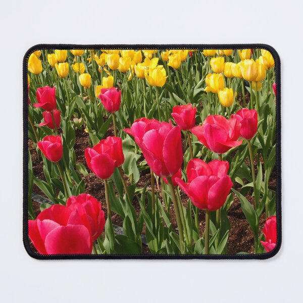 Item preview, Red And Yellow Tulip Field designed and sold by Taceo10.