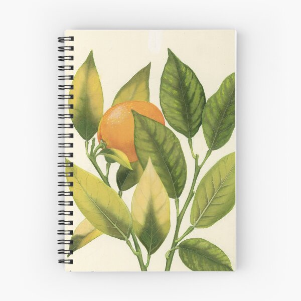 Item preview, Magnesium and Manganese Deficiencies in Citrus designed and sold by BiosecurityColl.