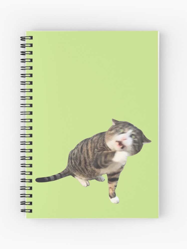 Surprised Cat Spiral Notebook