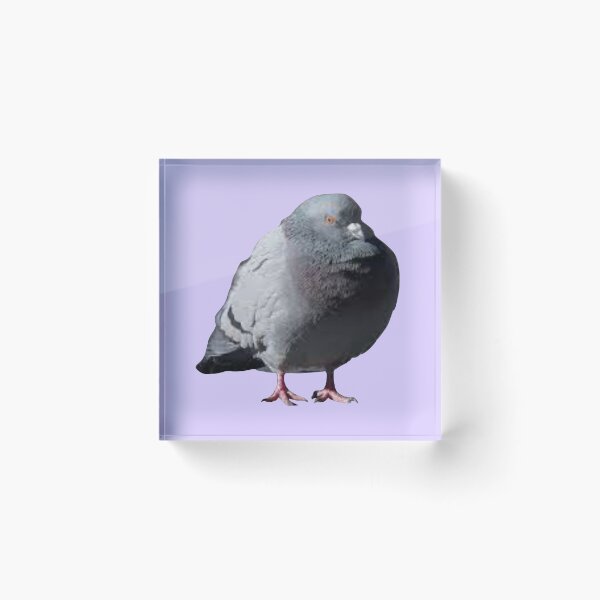 Item preview, Chubby pigeon designed and sold by tttatia.