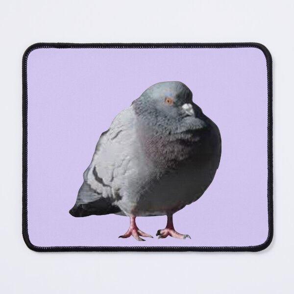 Item preview, Chubby pigeon designed and sold by tttatia.