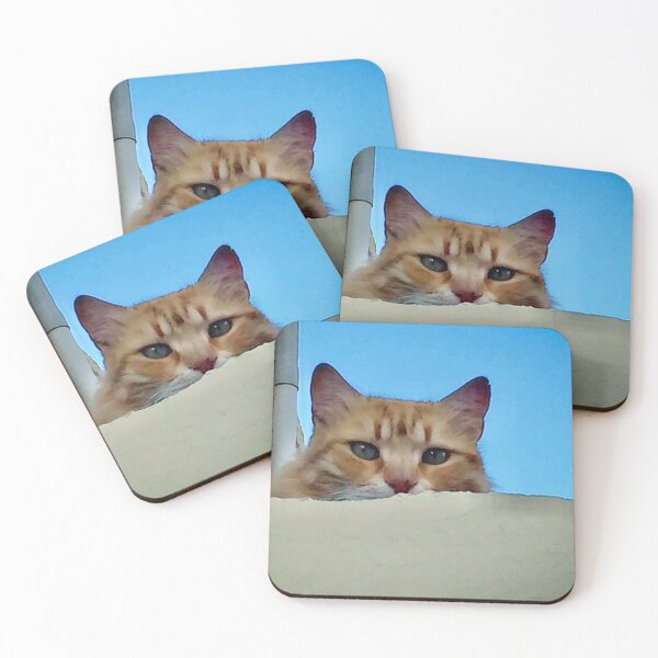 Item preview, Leo, the cat designed and sold by rodoullac.