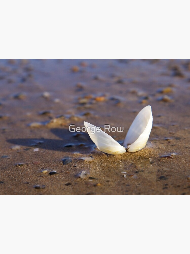 Cockle Shell in Evening light at Fahan by VeryIreland