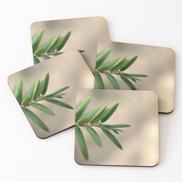 Item preview, Something To Pine For designed and sold by Jason Tompkins.