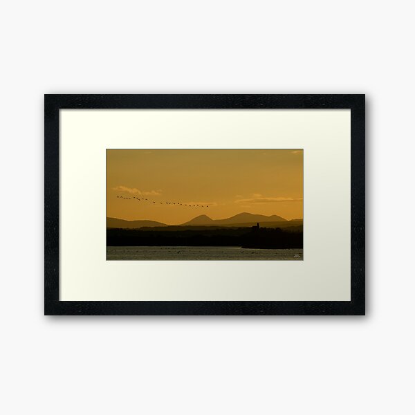 Geese over Derryveagh mountains at Twilight Framed Art Print