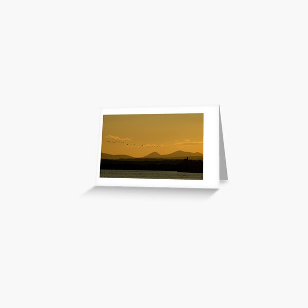 Geese over Derryveagh mountains at Twilight Greeting Card