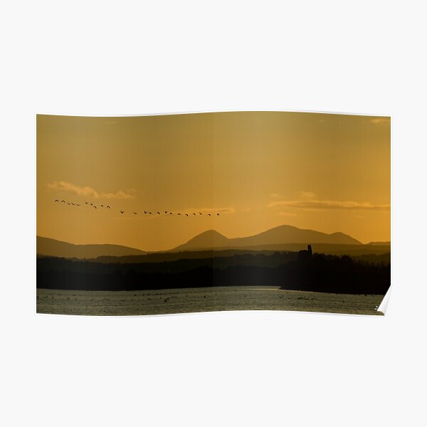 Geese over Derryveagh mountains at Twilight Poster