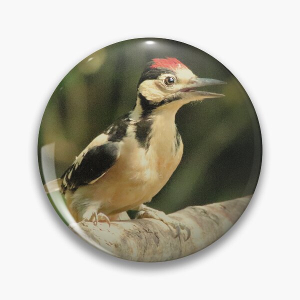 Item preview, Woodpecker Juvenile designed and sold by Ladymoose.