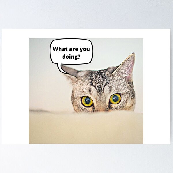 Item preview, What are you doing? designed and sold by JecaDale15.