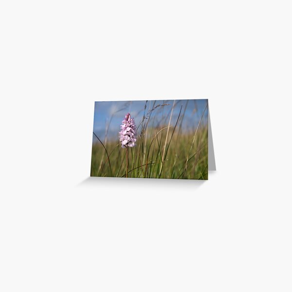 Spotted Orchid, Portnoo, Co. Donegal Greeting Card