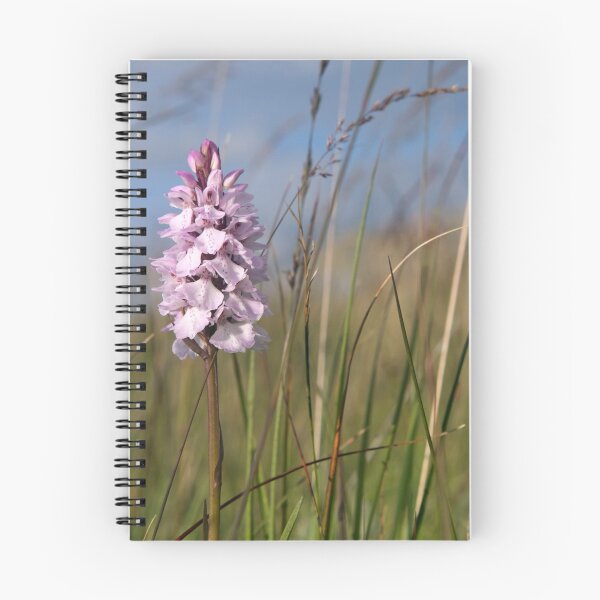 Item preview, Spotted Orchid,  Portnoo, Co. Donegal designed and sold by George Row.