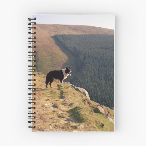 Item preview, Indy at Aber designed and sold by Michael Haslam.