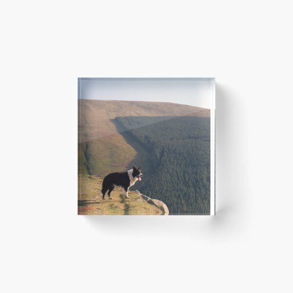 Item preview, Indy at Aber designed and sold by Michael Haslam.