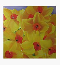 Spring Fever Year-Round, Narcissus Photographic Print