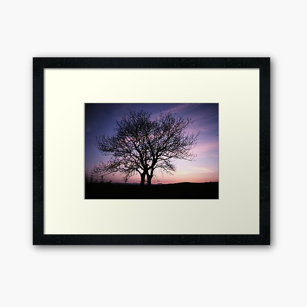 Two Trees embracing Framed Art Print