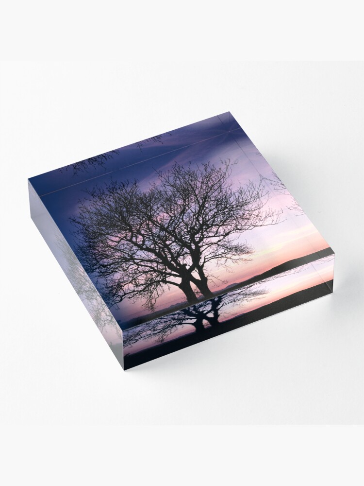 Alternate view of Two Trees embracing Acrylic Block
