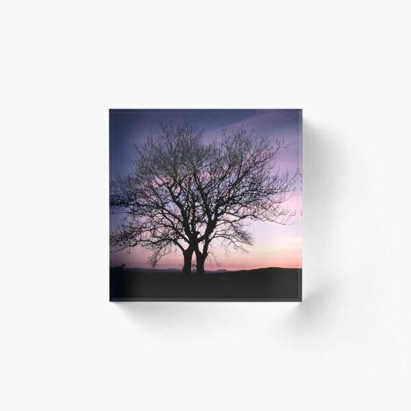 Two Trees embracing Acrylic Block