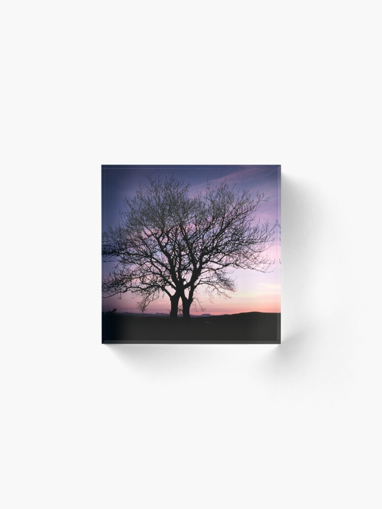 Alternate view of Two Trees embracing Acrylic Block