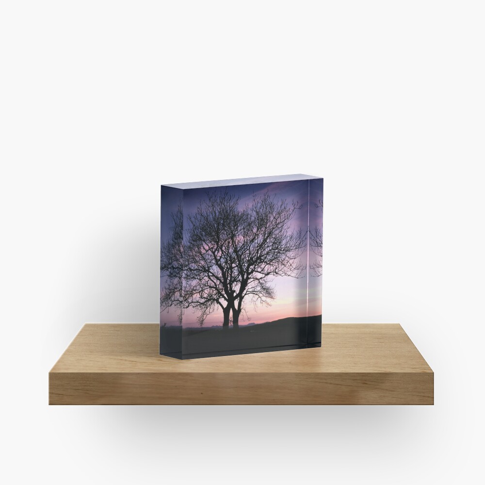 Two Trees embracing Acrylic Block