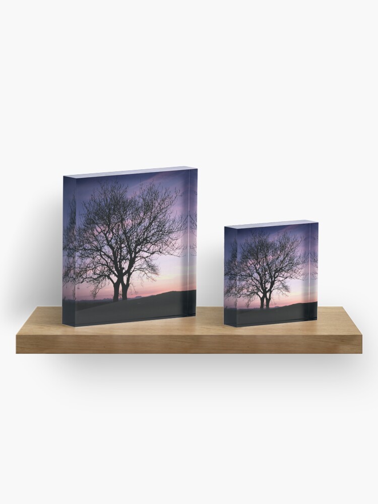 Alternate view of Two Trees embracing Acrylic Block