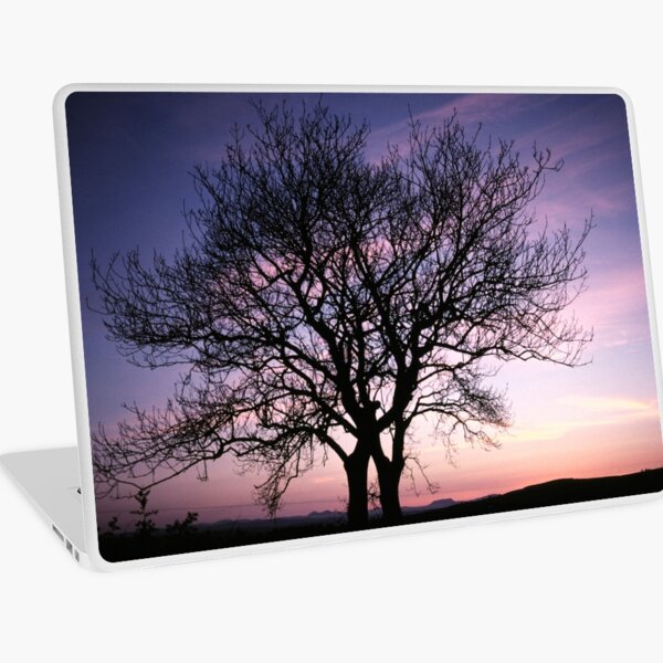 Two Trees embracing Laptop Skin