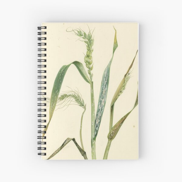 Item preview, Mehltau von Weizen designed and sold by BiosecurityColl.