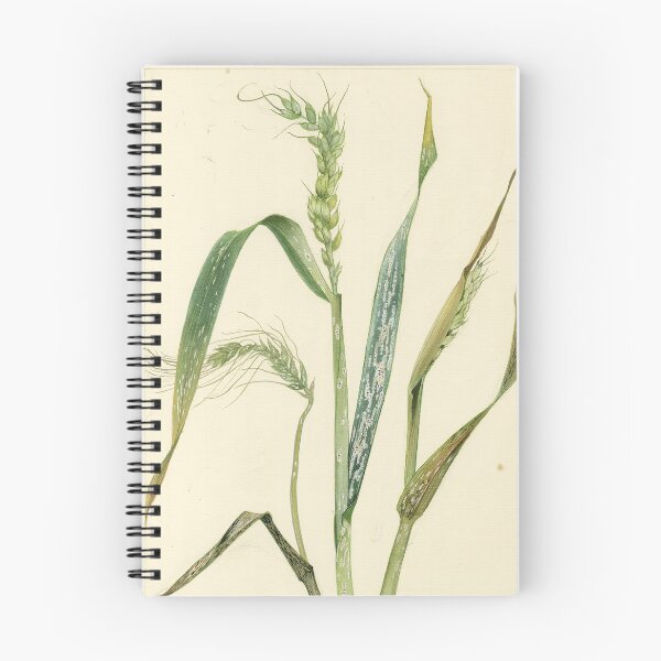 Item preview, Powdery Mildew of Wheat designed and sold by BiosecurityColl.