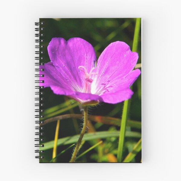 Item preview, Cranesbill, Dun Eochla, Inishmore, Aran Islands designed and sold by George Row.