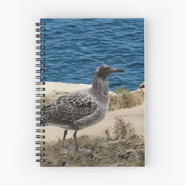 Item preview, Young Night Heron by the Sea designed and sold by heatherfriedman.