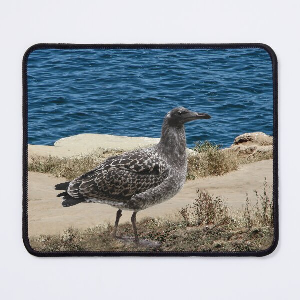 Item preview, Young Night Heron by the Sea designed and sold by heatherfriedman.