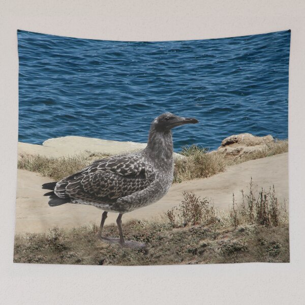Item preview, Young Night Heron by the Sea designed and sold by heatherfriedman.
