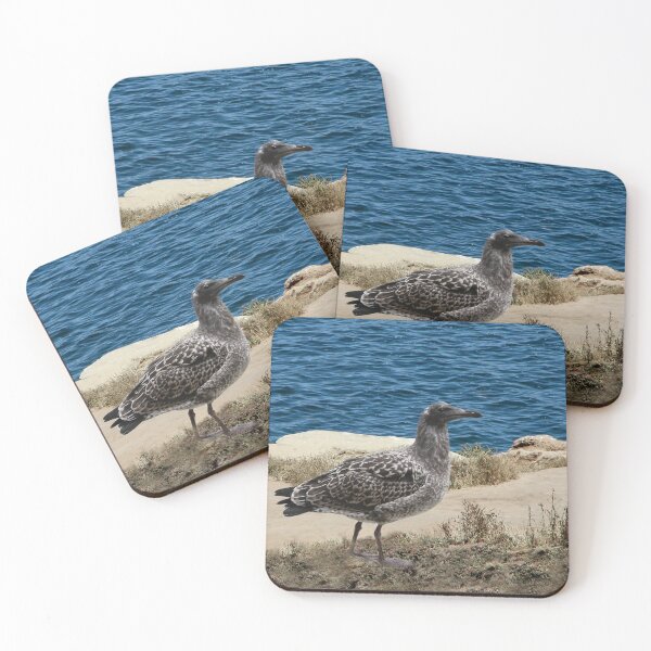 Item preview, Young Night Heron by the Sea designed and sold by heatherfriedman.