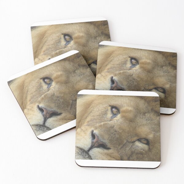 Item preview, Lazy lion days designed and sold by Art by Dom G.