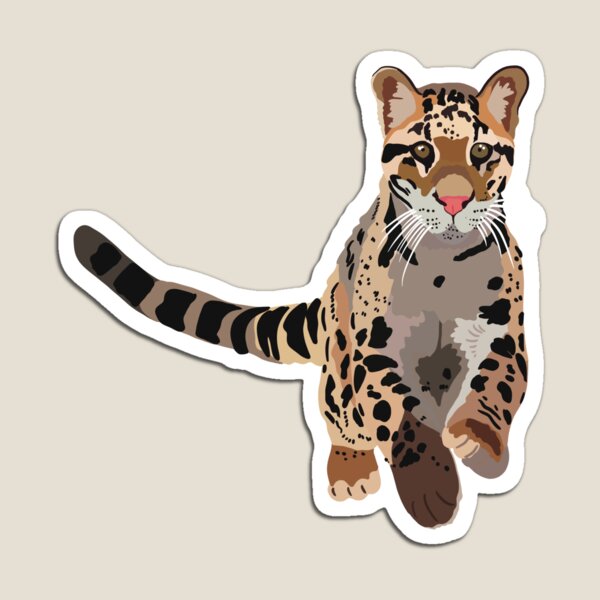 Item preview, C is for Clouded Leopard, Clouded Leopard Illustration – Exotic Big Cat Art for Wildlife Lovers designed and sold by thezoogirl.